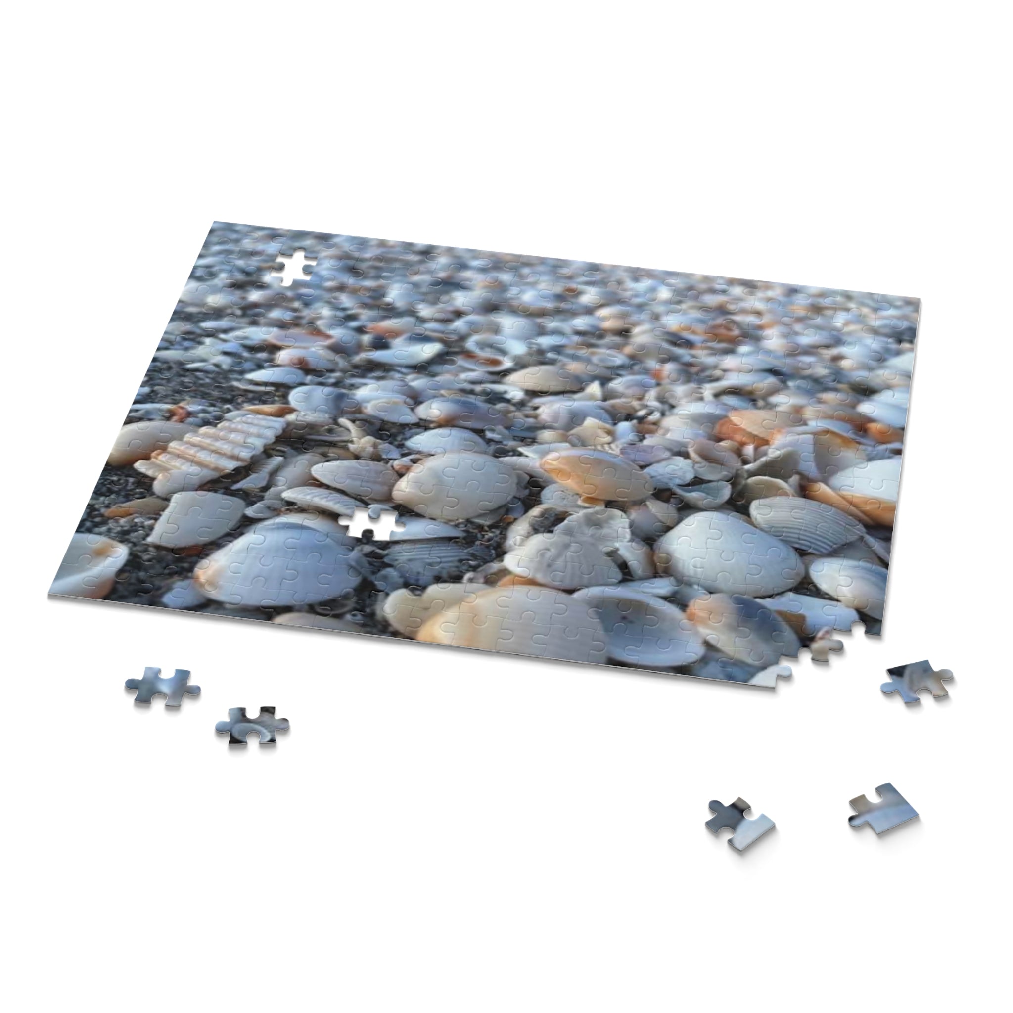 Seashell Beach Jigsaw Puzzle, Seashell Lovers Gift, Beach Gift, Seashell Collector Gift