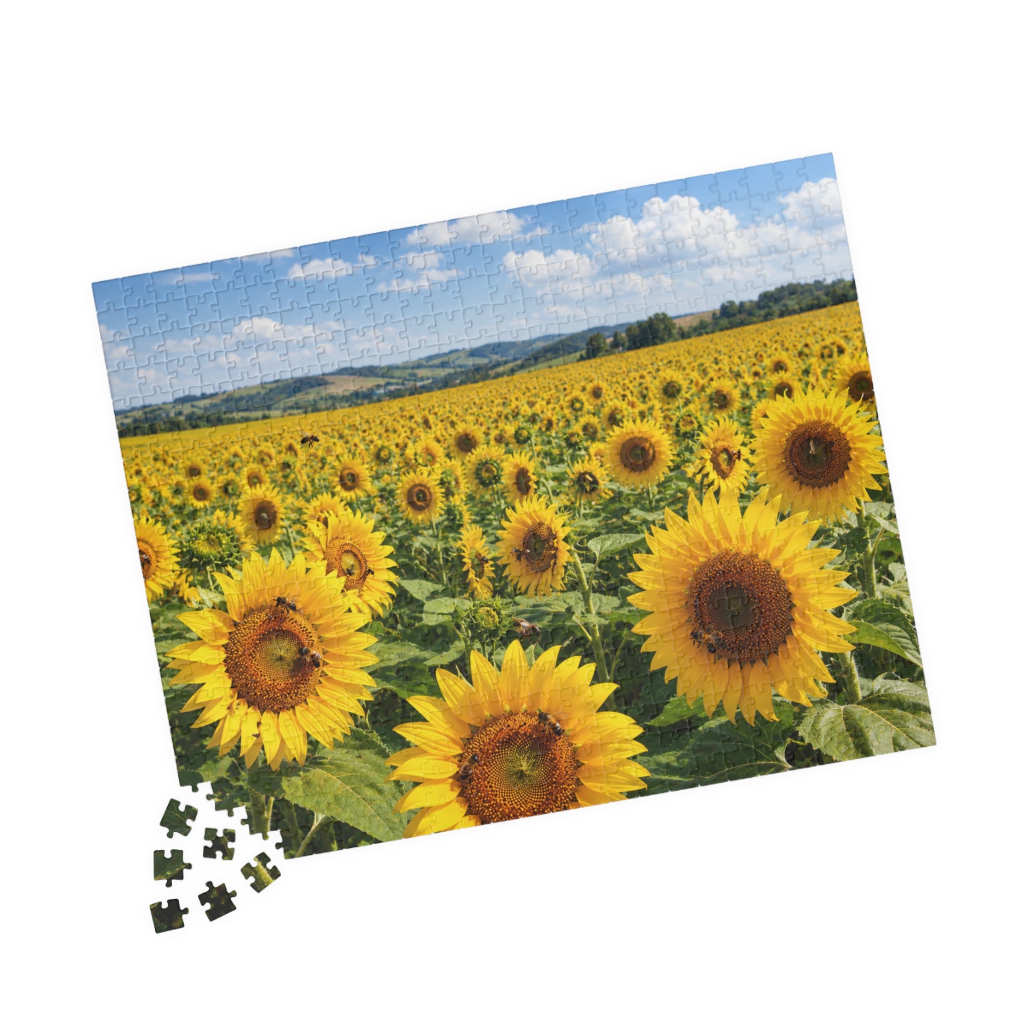 Sunflower Field Puzzle, Sunflower Gift, Sunflower Jigsaw Puzzle, Family Game, 252/520/1014-piece
