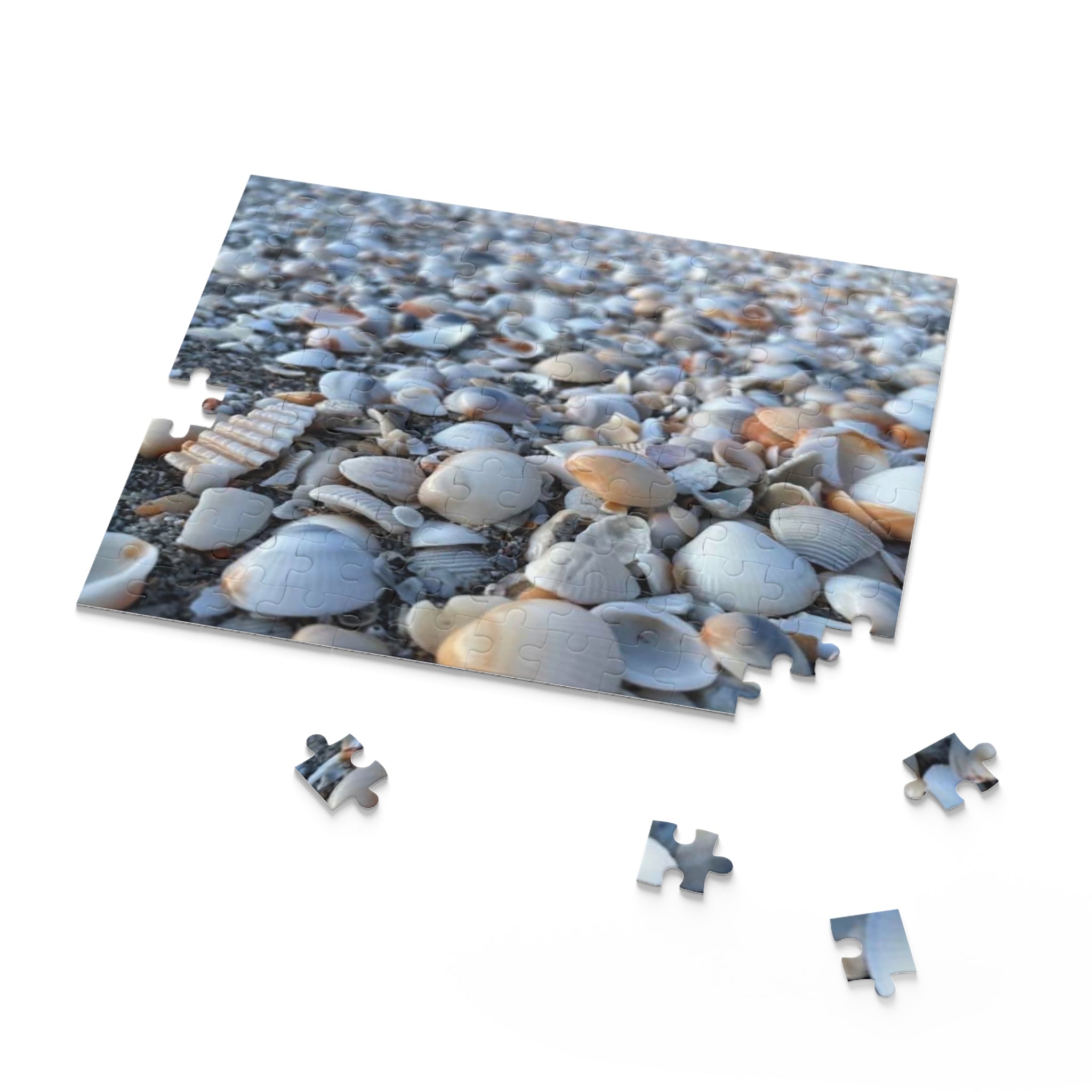 Seashell Beach Jigsaw Puzzle, Seashell Lovers Gift, Beach Gift, Seashell Collector Gift