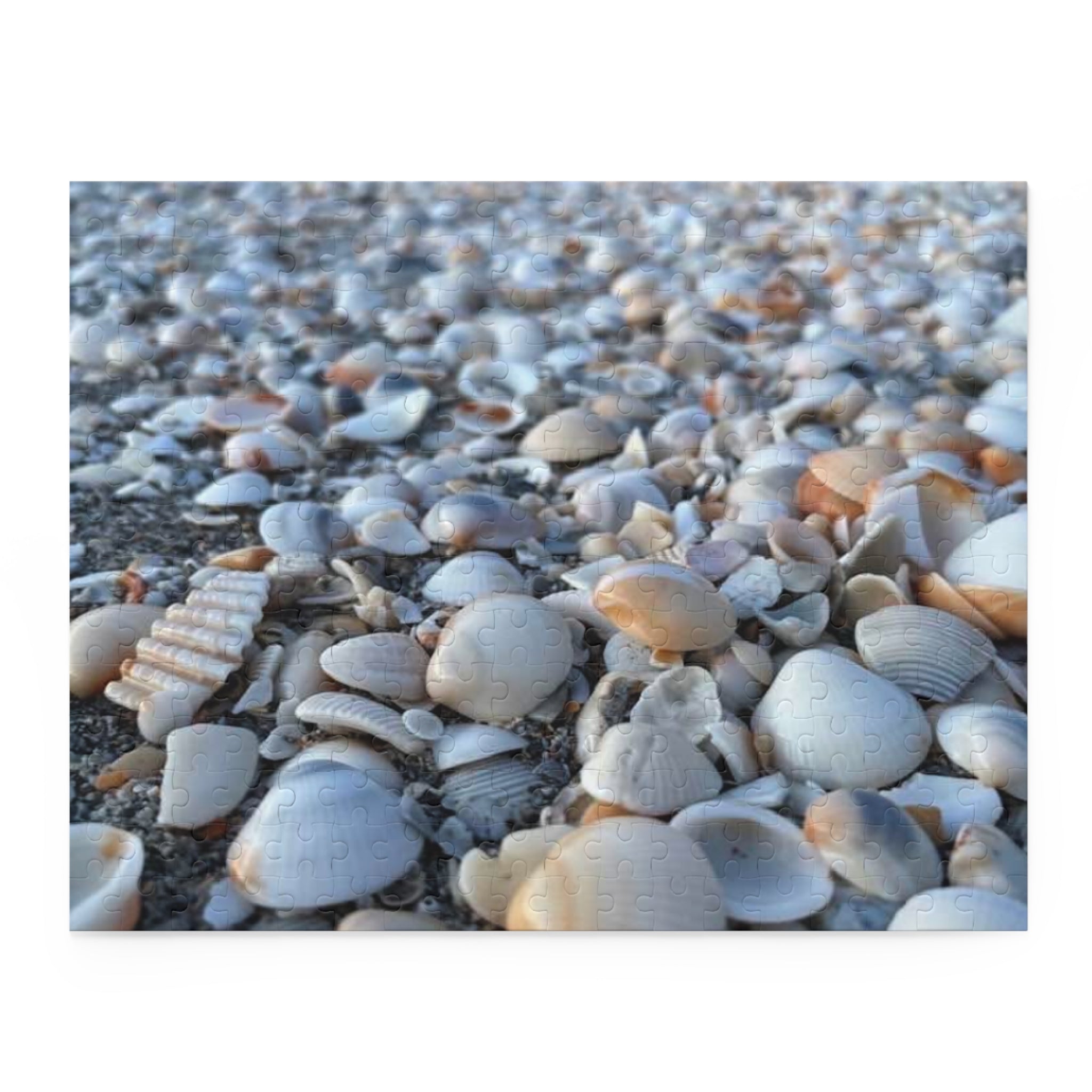 Seashell Beach Jigsaw Puzzle, Seashell Lovers Gift, Beach Gift, Seashell Collector Gift