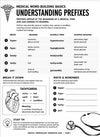 Medical Terminology Workbook, 100-Page Anatomy Study Guide (Digital Download)