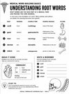 Medical Terminology Workbook, 100-Page Anatomy Study Guide (Digital Download)
