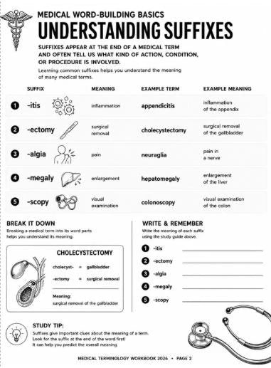 Medical Terminology Workbook, 100-Page Anatomy Study Guide (Digital Download)