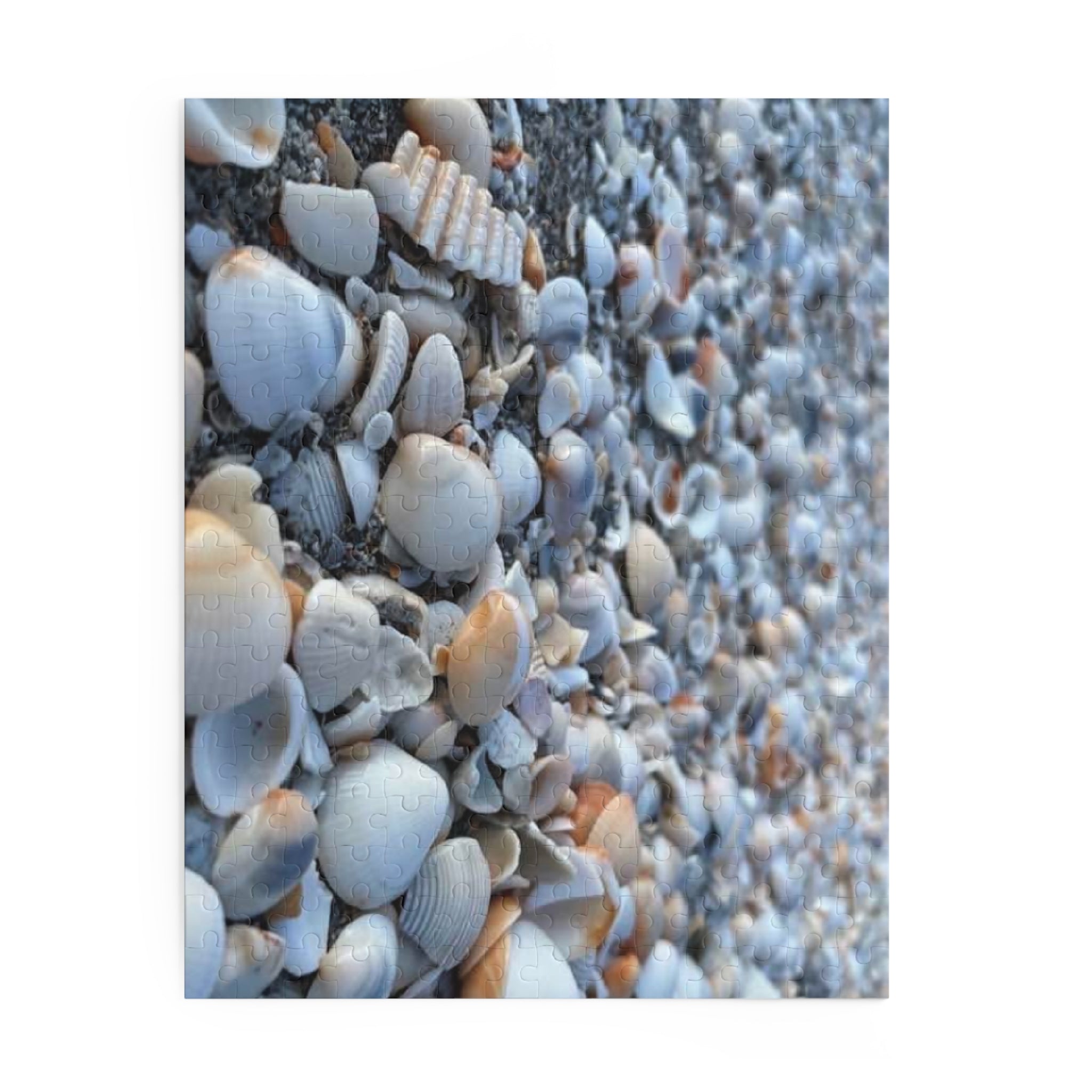 Seashell Beach Jigsaw Puzzle, Seashell Lovers Gift, Beach Gift, Seashell Collector Gift