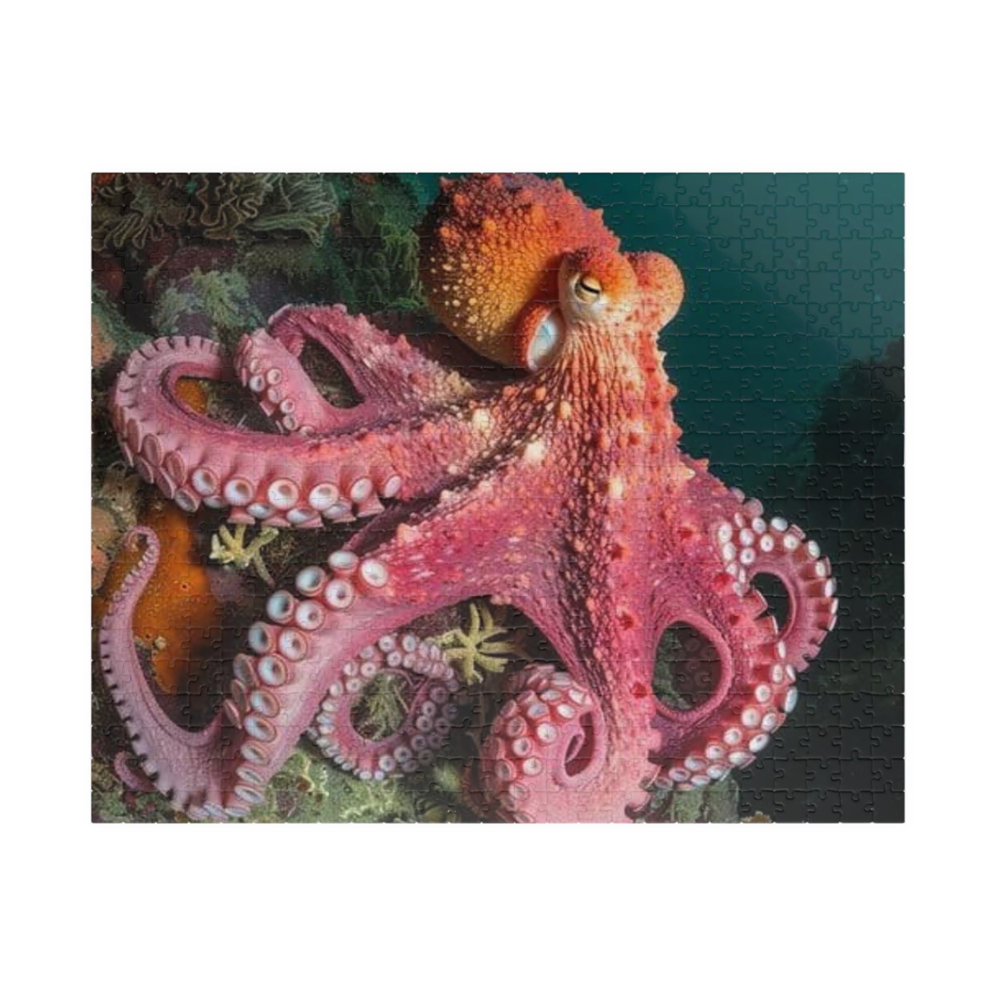 Pink Octopus Puzzle,  252-1014 Piece, Ocean Sea Life Jigsaw, Sea Life Puzzle, Octopus Lovers Gift