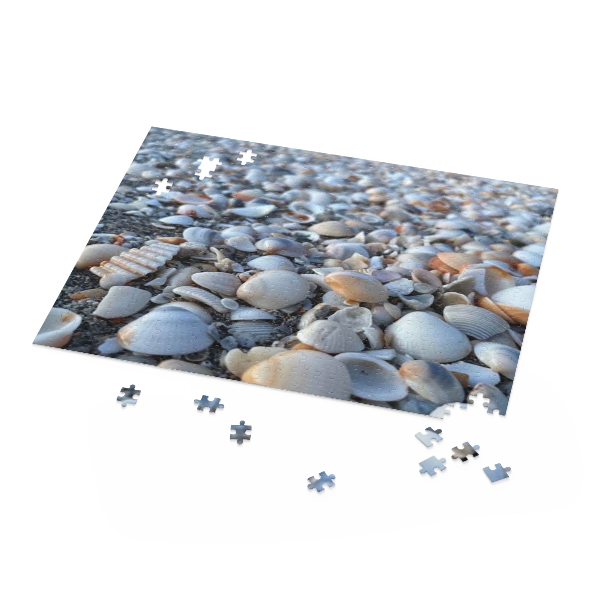 Seashell Beach Jigsaw Puzzle, Seashell Lovers Gift, Beach Gift, Seashell Collector Gift