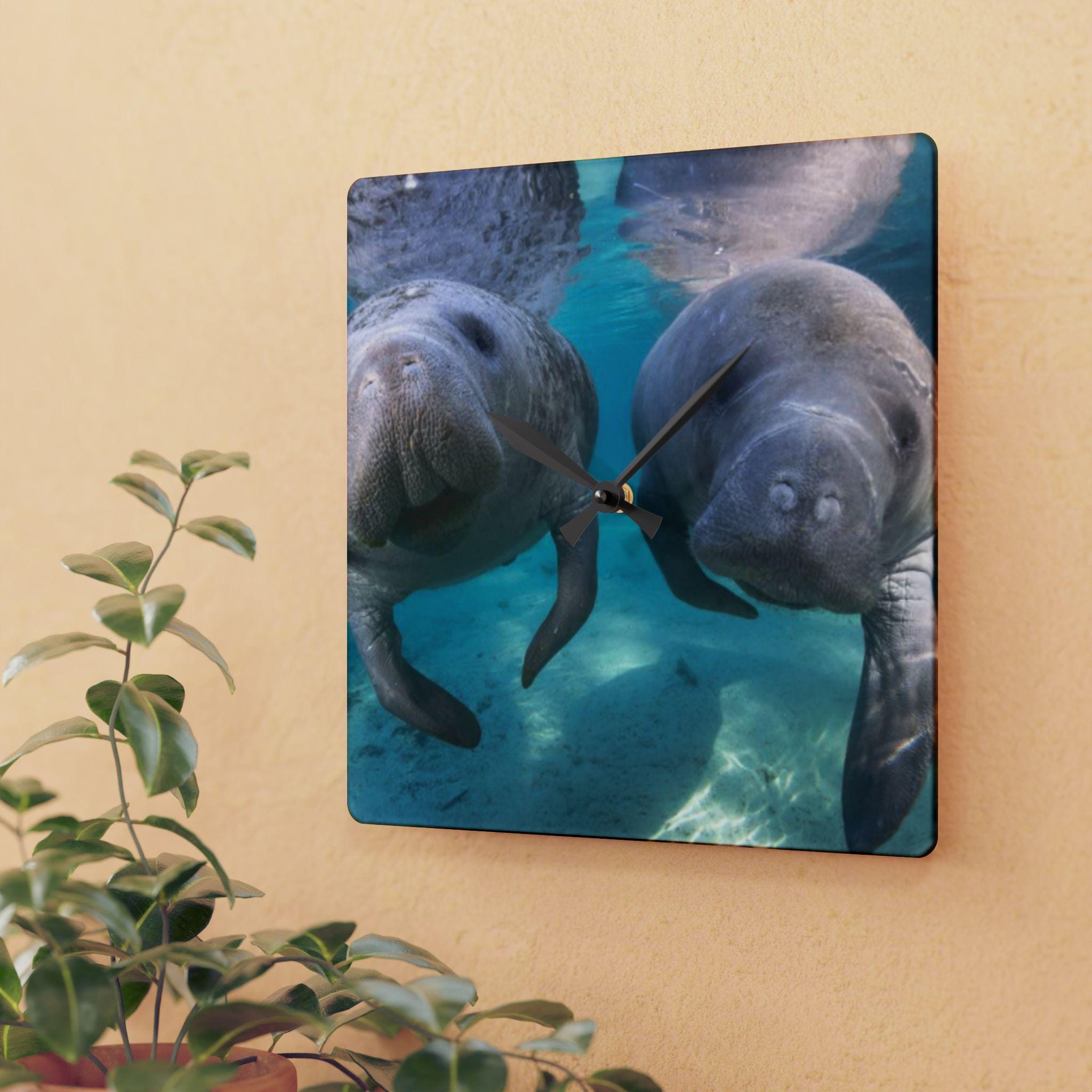 Manatees Underwater Acrylic Wall Clock | Sea Life, Marine Animals
