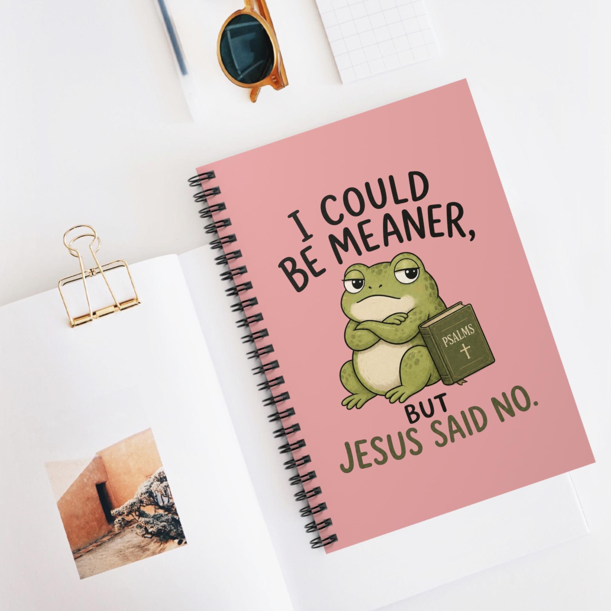 I Could Be Meaner Frog Notebook | Spiral Ruled Journal