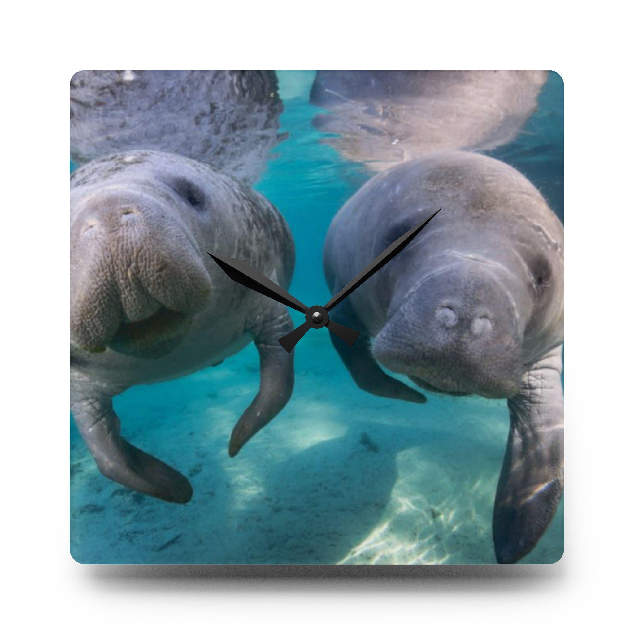 Manatees Underwater Acrylic Wall Clock | Sea Life, Marine Animals