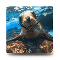 Playful Sea Lion Face Acrylic Wall Clock | Ocean Wildlife Décor