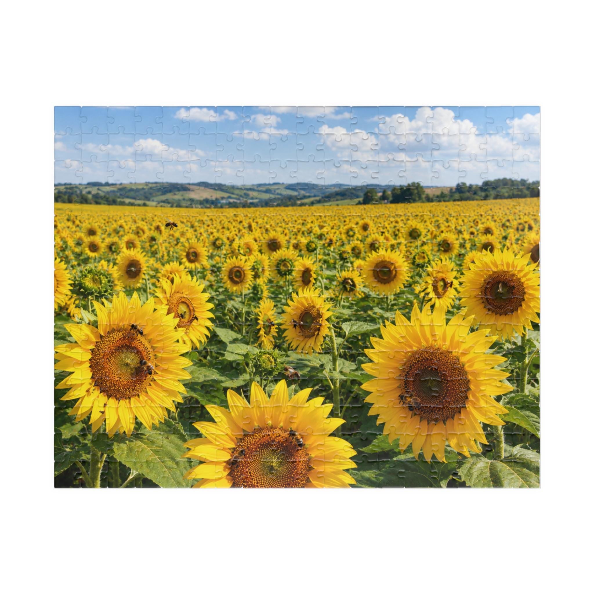 Sunflower Field Puzzle 252/520/1014-piece
