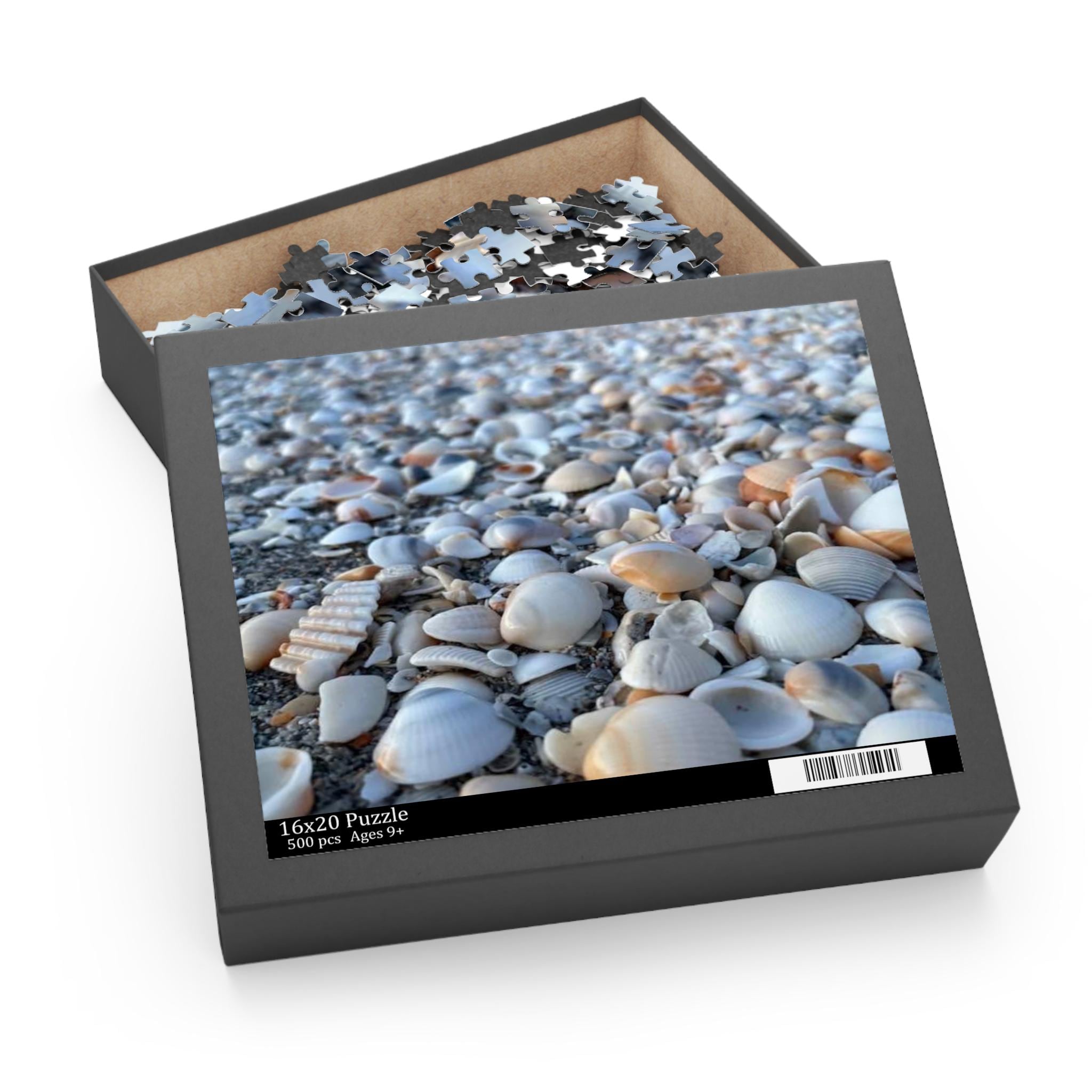 Seashell Beach Pattern Puzzle