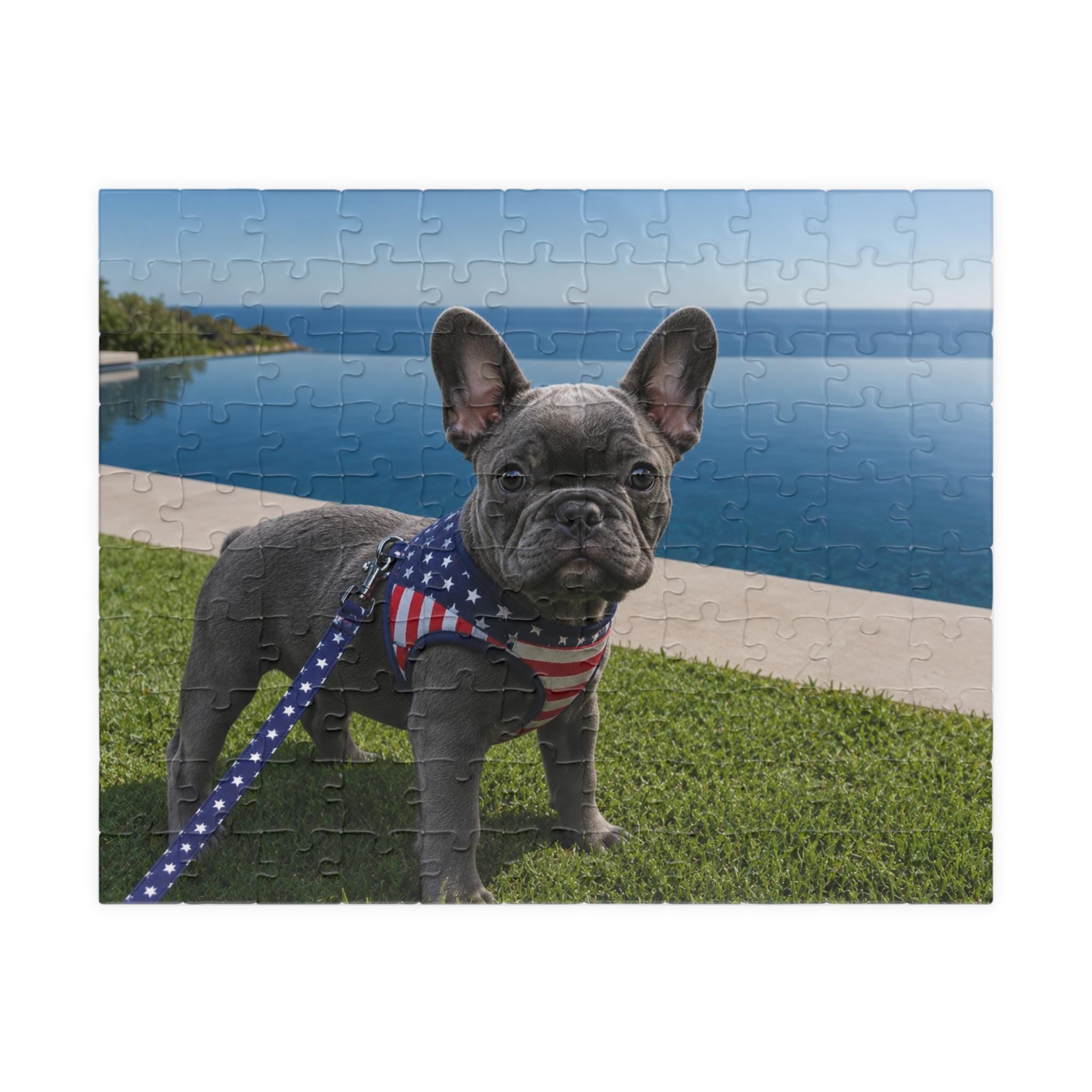 French Bulldog Puppy Puzzle 252 Piece | Scenic Lake Photo Puzzle