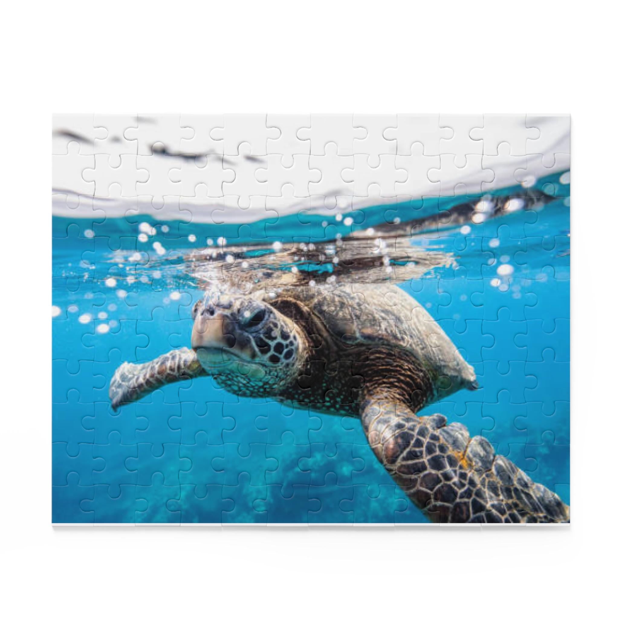 Sea Turtle Swimming Puzzle