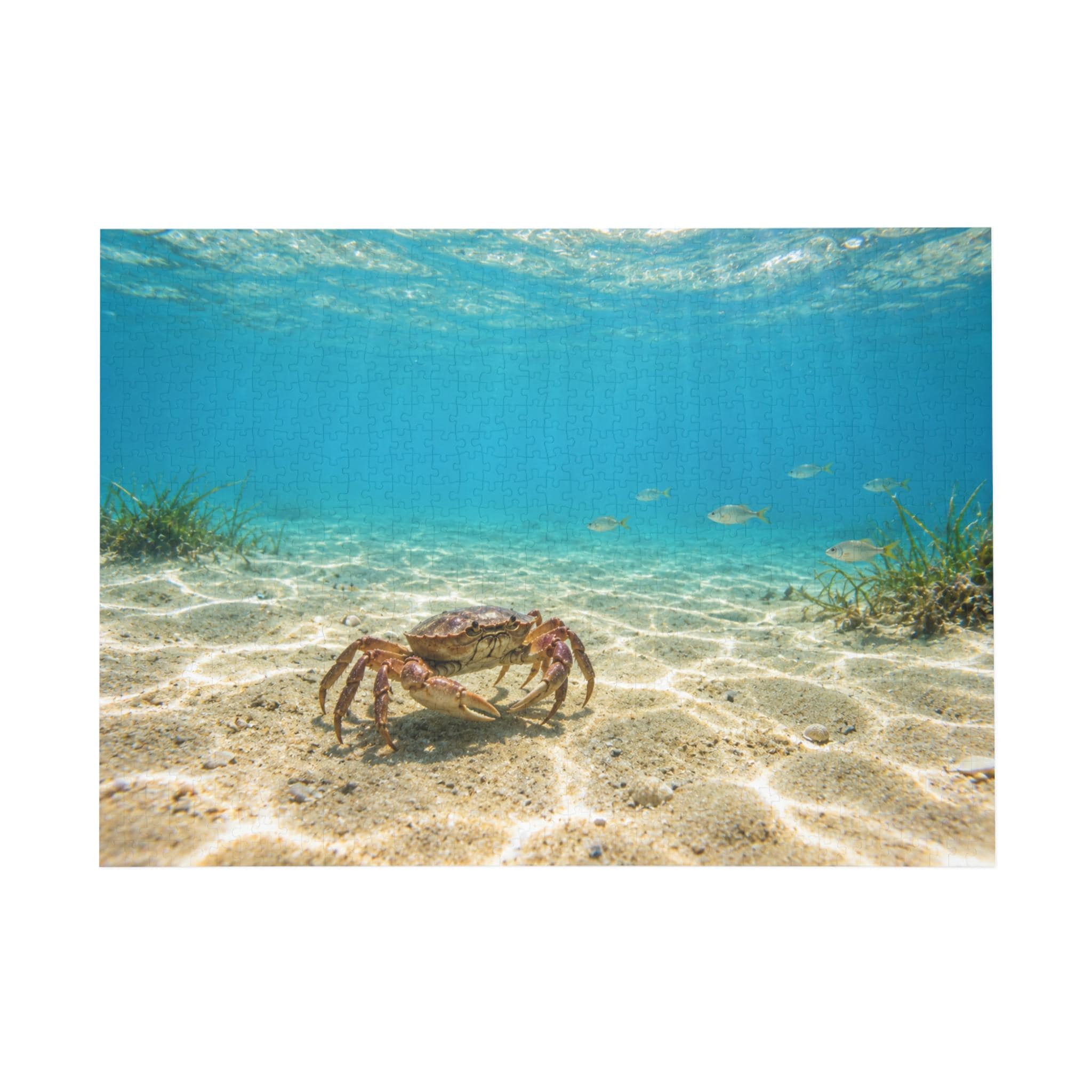 Crab on Seabed Puzzle 500-Piece | Ocean Underwater Scene 96-1000pc