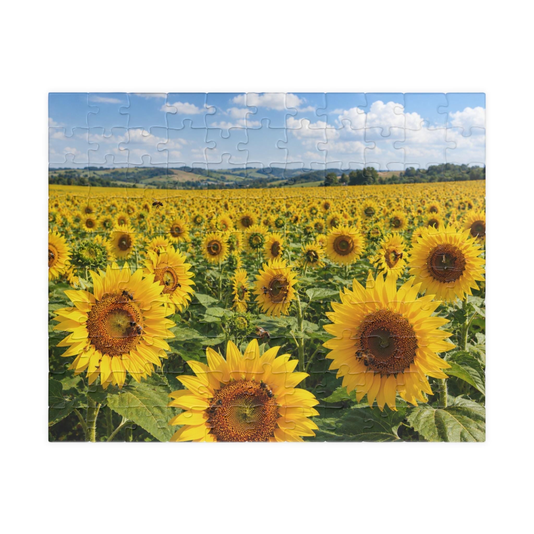 Sunflower Field Puzzle 252/520/1014-piece