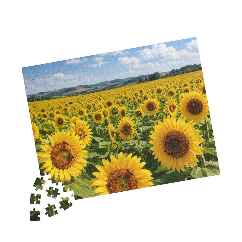 Sunflower Field Puzzle 252/520/1014-piece