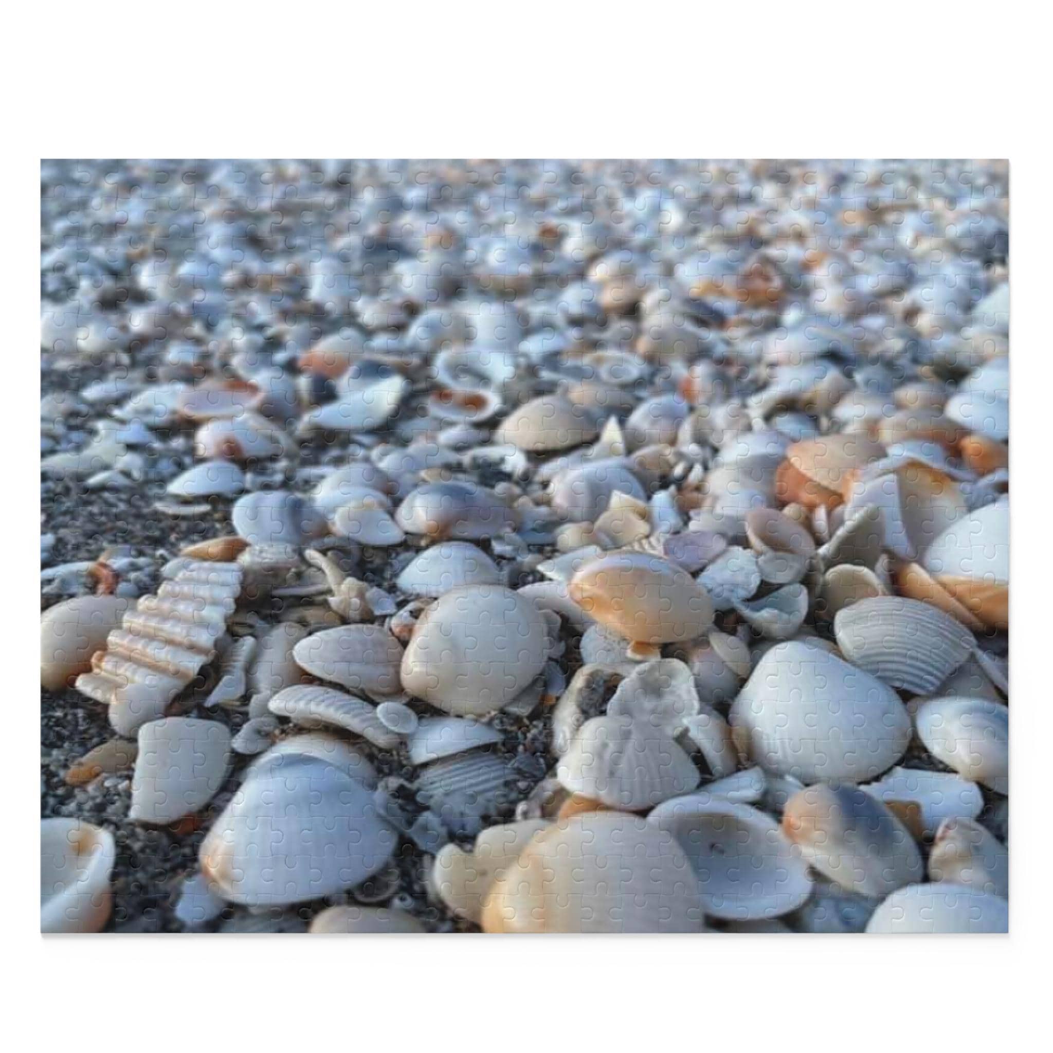 Seashell Beach Pattern Puzzle