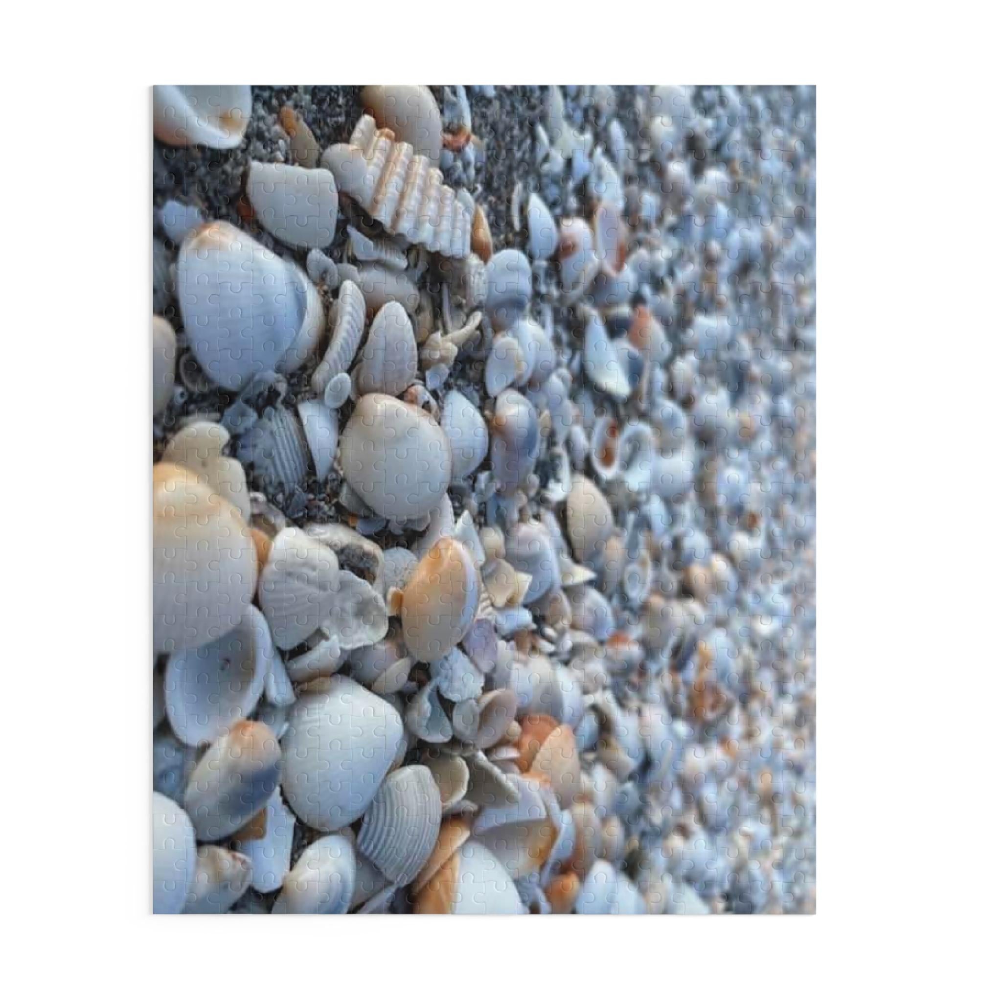 Seashell Beach Pattern Puzzle