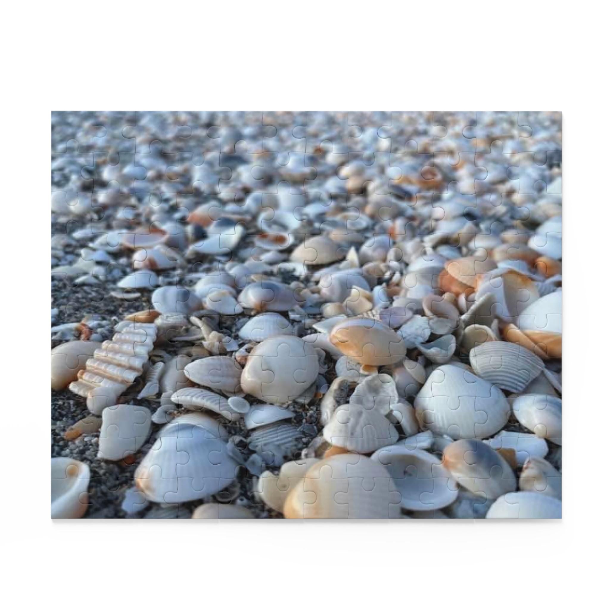 Seashell Beach Pattern Puzzle