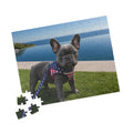 French Bulldog Puppy Puzzle 252 Piece | Scenic Lake Photo Puzzle