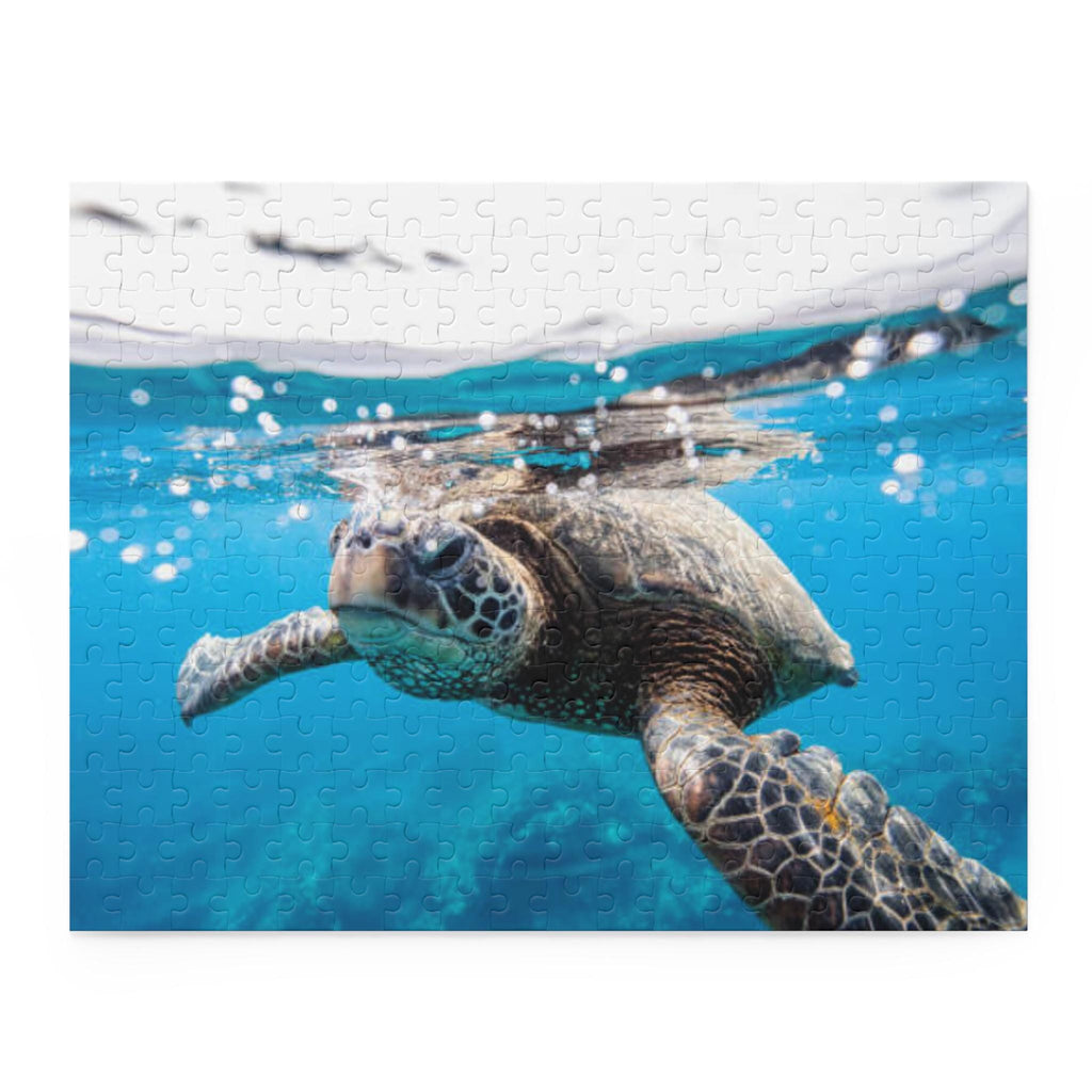 Sea Turtle Swimming Puzzle