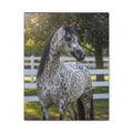 Appaloosa Horse Canvas Wall Art, Spotted Equestrian Decor, Rustic Farmhouse Print